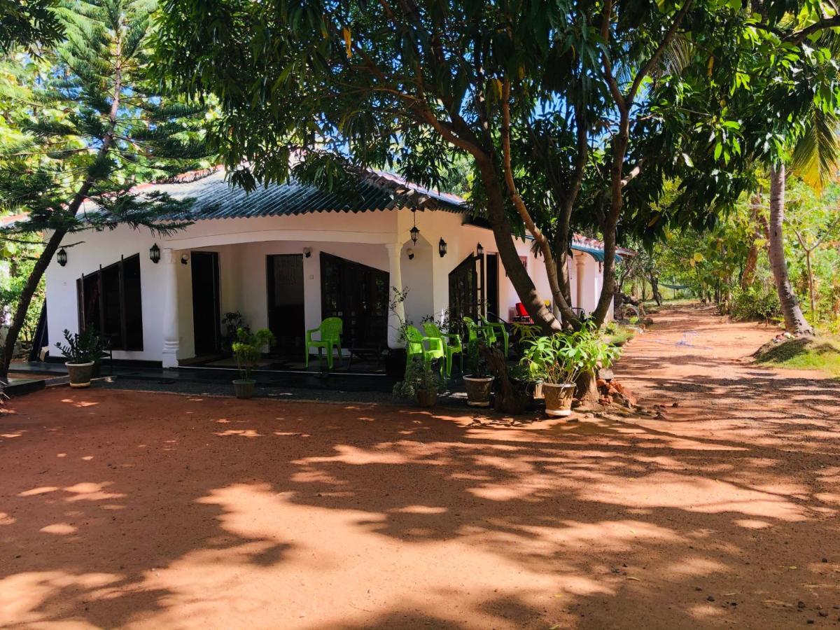 Dambulla City Hostel Exteriör bild