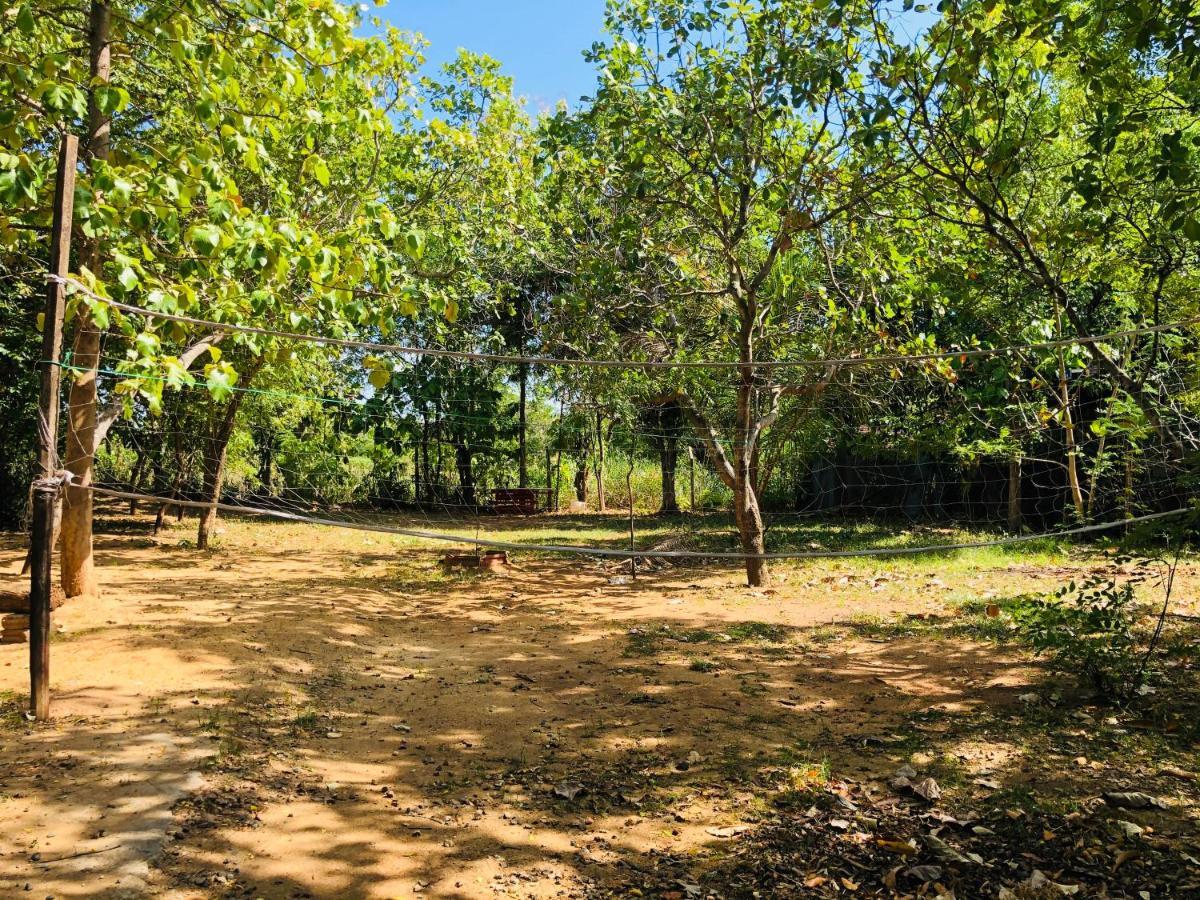 Dambulla City Hostel Exteriör bild